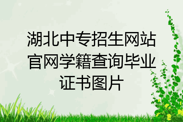 湖北中专招生网站官网学籍查询毕业证书图片