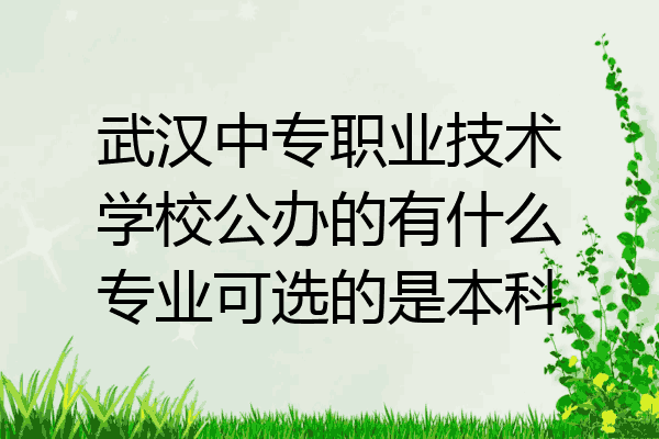 武汉中专职业技术学校公办的有什么专业可选的是本科