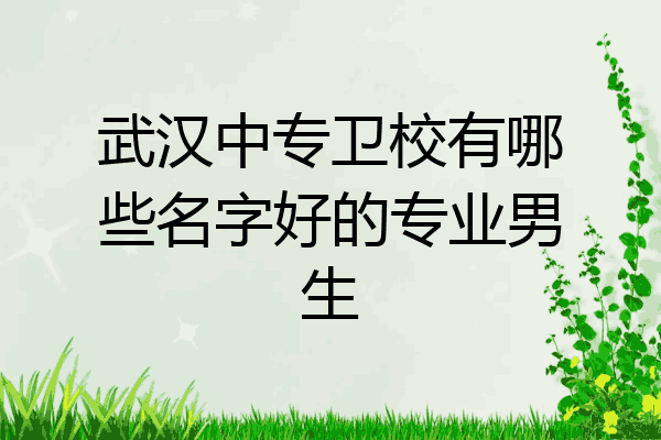 武汉中专卫校有哪些名字好的专业男生
