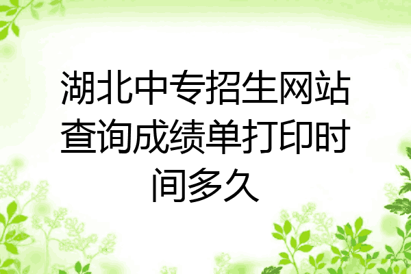 湖北中专招生网站查询成绩单打印时间多久