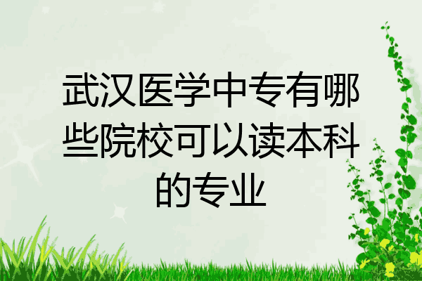 武汉医学中专有哪些院校可以读本科的专业