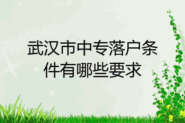 武汉市中专落户条件有哪些要求