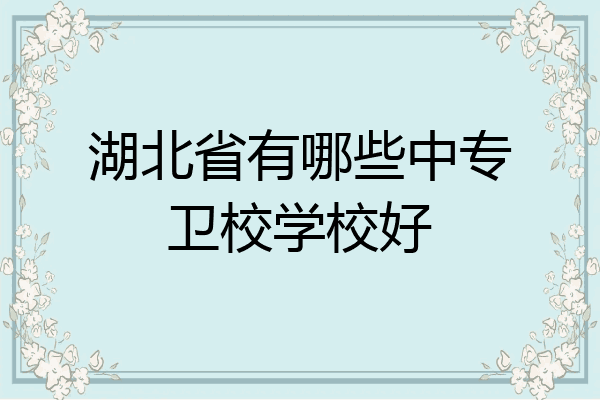 湖北省有哪些中专卫校学校好