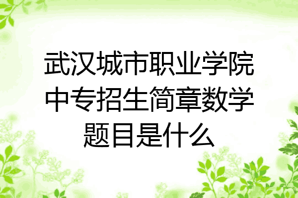 武汉城市职业学院中专招生简章数学题目是什么
