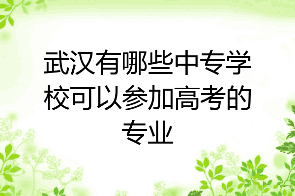 武汉有哪些中专学校可以参加高考的专业