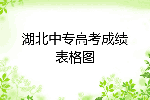 湖北中专高考成绩表格图