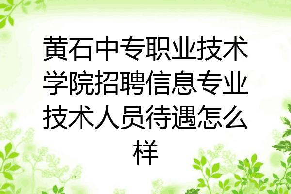 黄石中专职业技术学院招聘信息专业技术人员待遇怎么样