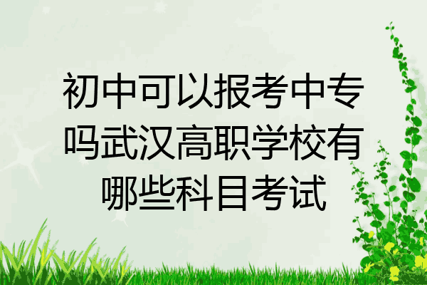初中可以报考中专吗武汉高职学校有哪些科目考试