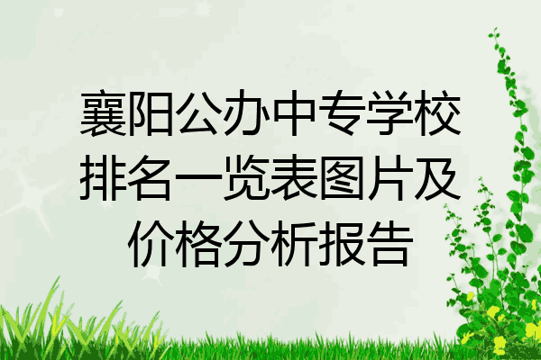 襄阳公办中专学校排名一览表图片及价格分析报告