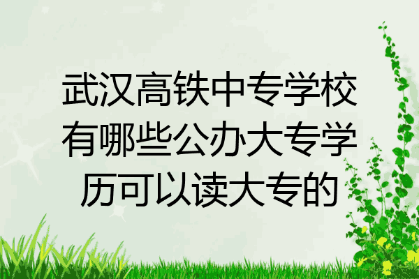 武汉高铁中专学校有哪些公办大专学历可以读大专的
