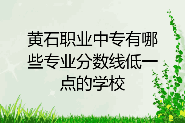 黄石职业中专有哪些专业分数线低一点的学校