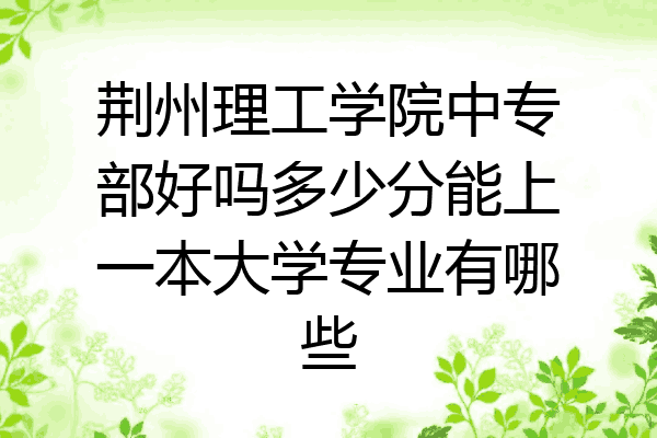 荆州理工学院中专部好吗多少分能上一本大学专业有哪些