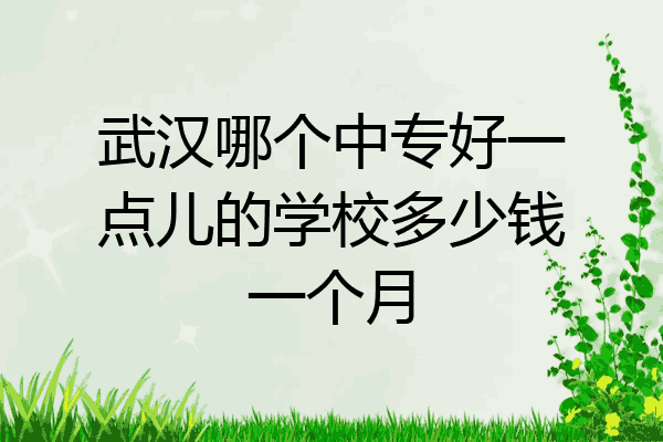 武汉哪个中专好一点儿的学校多少钱一个月