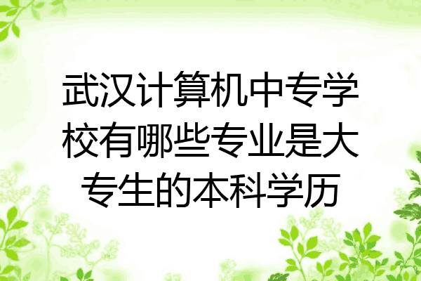 武汉计算机中专学校有哪些专业是大专生的本科学历