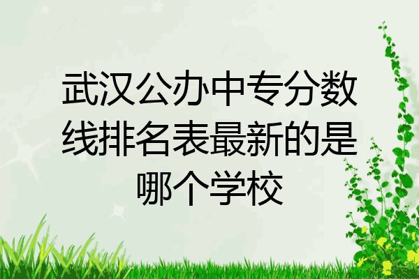 武汉公办中专分数线排名表最新的是哪个学校