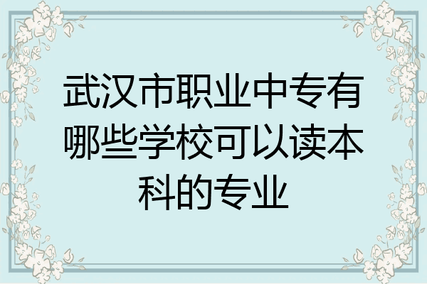 武汉市职业中专有哪些学校可以读本科的专业