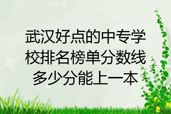 武汉好点的中专学校排名榜单分数线多少分能上一本