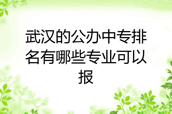 武汉的公办中专排名有哪些专业可以报