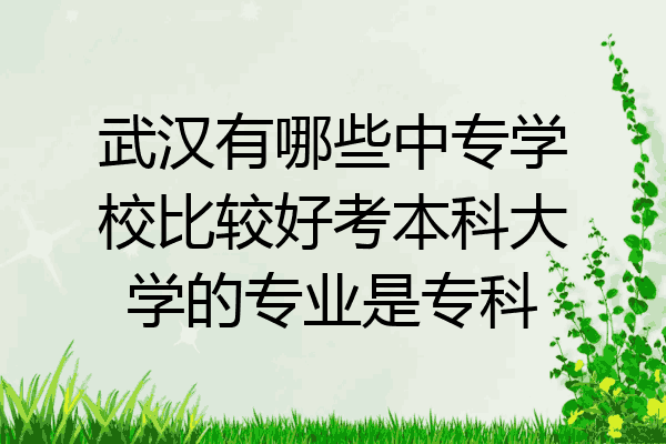 武汉有哪些中专学校比较好考本科大学的专业是专科