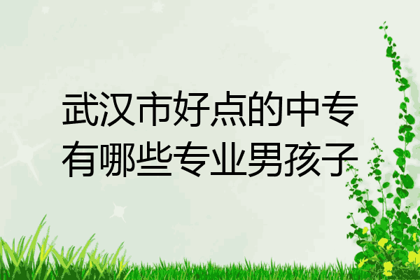 武汉市好点的中专有哪些专业男孩子
