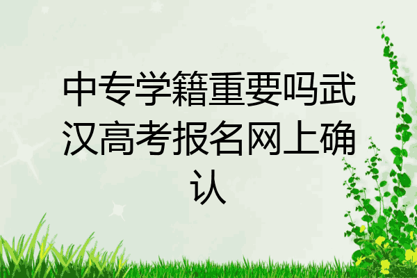 中专学籍重要吗武汉高考报名网上确认