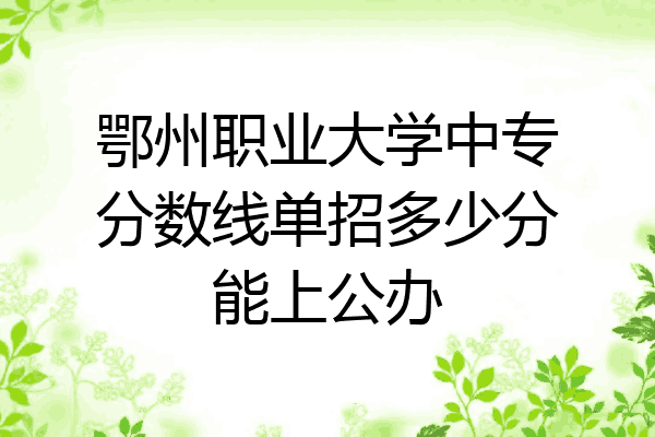 鄂州职业大学中专分数线单招多少分能上公办