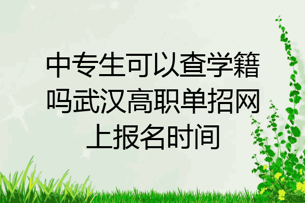 中专生可以查学籍吗武汉高职单招网上报名时间