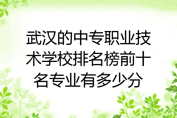 武汉的中专职业技术学校排名榜前十名专业有多少分