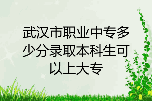 武汉市职业中专多少分录取本科生可以上大专