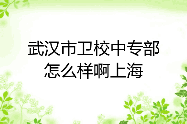 武汉市卫校中专部怎么样啊上海