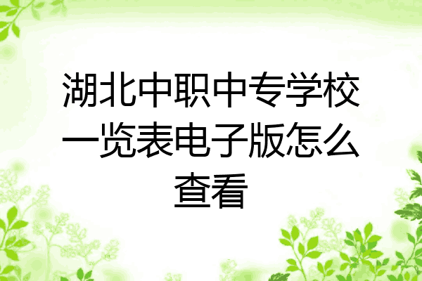 湖北中职中专学校一览表电子版怎么查看