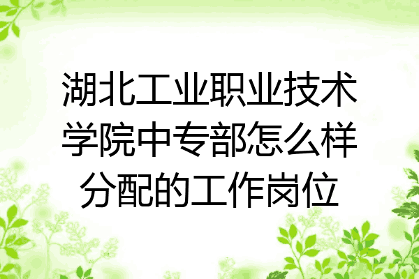 湖北工业职业技术学院中专部怎么样分配的工作岗位
