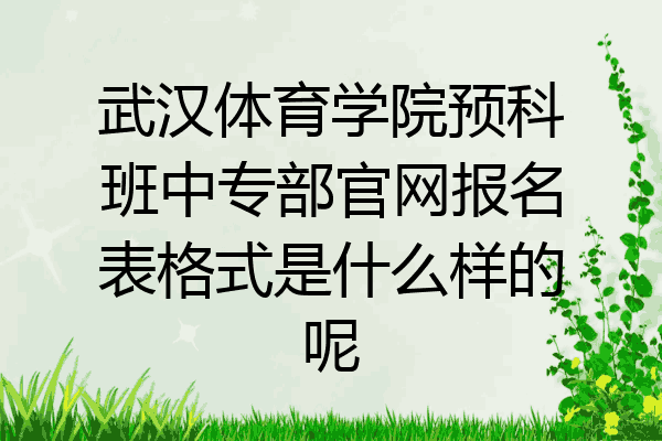 武汉体育学院预科班中专部官网报名表格式是什么样的呢