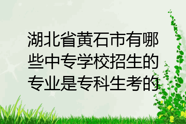 湖北省黄石市有哪些中专学校招生的专业是专科生考的