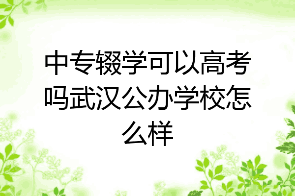 中专辍学可以高考吗武汉公办学校怎么样