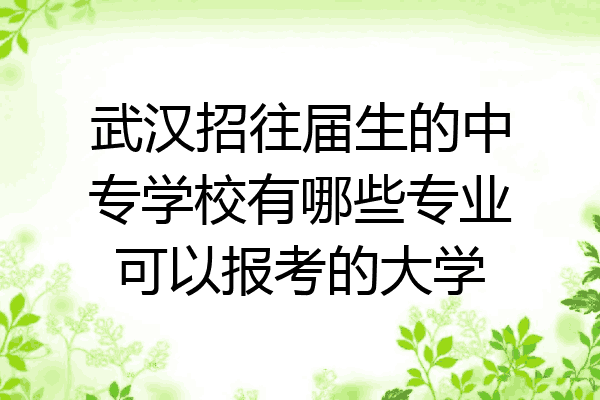 武汉招往届生的中专学校有哪些专业可以报考的大学