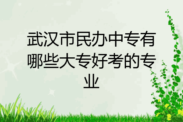 武汉市民办中专有哪些大专好考的专业