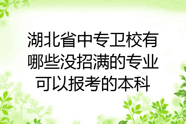 湖北省中专卫校有哪些没招满的专业可以报考的本科