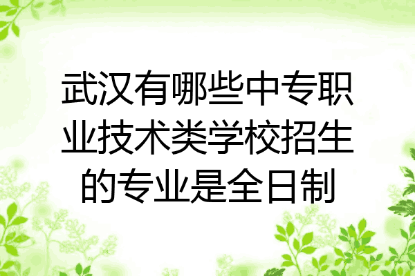 武汉有哪些中专职业技术类学校招生的专业是全日制