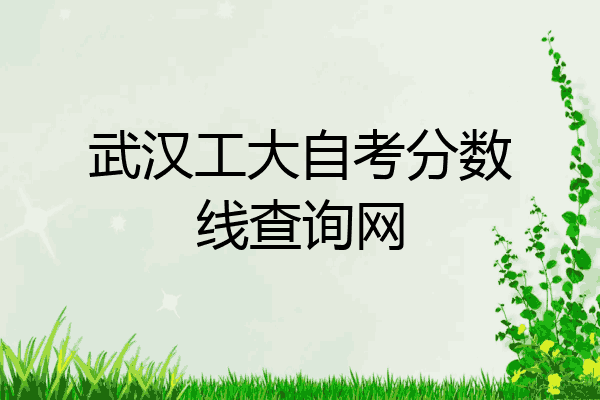 武汉工大自考分数线查询网