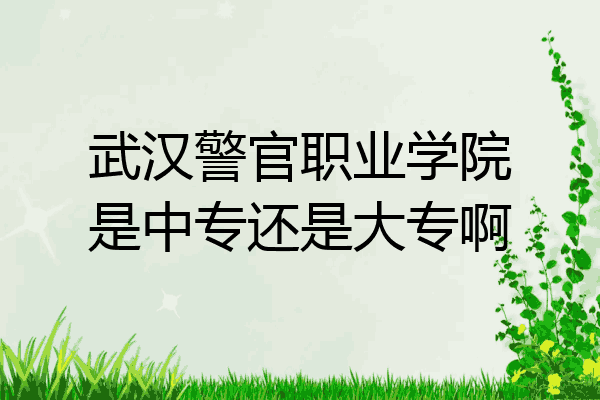 武汉警官职业学院是中专还是大专啊