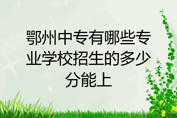 鄂州中专有哪些专业学校招生的多少分能上