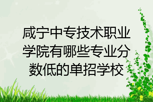 咸宁中专技术职业学院有哪些专业分数低的单招学校