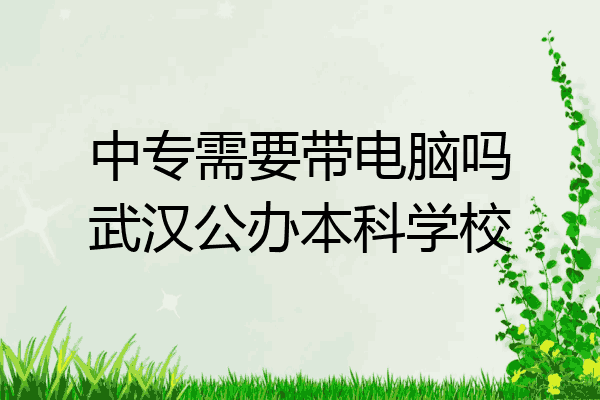 中专需要带电脑吗武汉公办本科学校