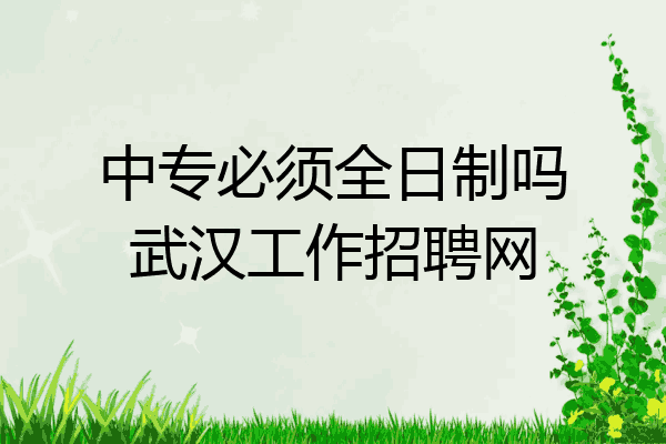 中专必须全日制吗武汉工作招聘网