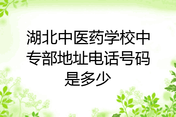 湖北中医药学校中专部地址电话号码是多少