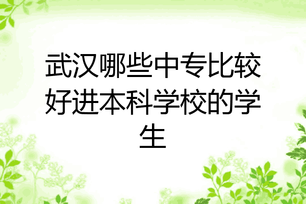 武汉哪些中专比较好进本科学校的学生