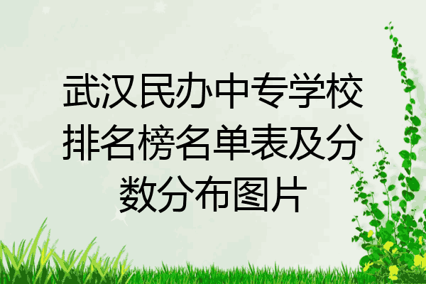 武汉民办中专学校排名榜名单表及分数分布图片