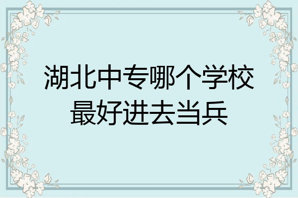 湖北中专哪个学校最好进去当兵