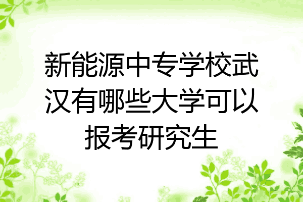 新能源中专学校武汉有哪些大学可以报考研究生